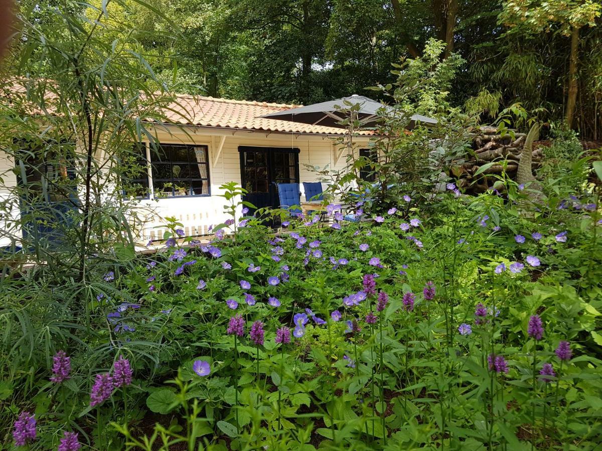 L'Amour Pur Schoorl Exterior photo